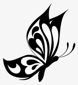 Elegant Butterfly Vector Images An Images Hub - Transparent Butterfly Vector Png, Png Download, Transparent PNG