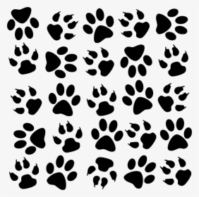 Colorful Paw Print Clipart, HD Png Download, Transparent PNG