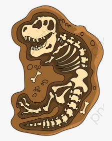 Transparent Skeleton - Dinosaur Fossils Clipart Png, Png Download, Transparent PNG