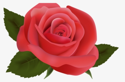 Red Rose Png Image Clipart Deseos De Migdalia Pinterest - Transparent Background Rose Png, Png Download, Transparent PNG