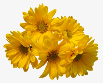 Yellow Flowers Bouquet Png Transparent Image - Yellow Aesthetic Flower Png, Png Download, Transparent PNG