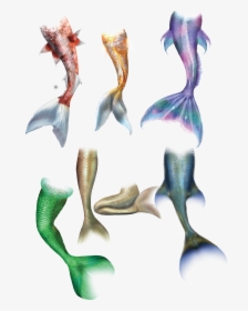 Mermaid Tail Transprent Png - Mermaid Fish Scale Drawing, Transparent Png, Transparent PNG