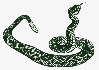 Rattle Snake, Serpent, Snake, Tribal, Rattler, Danger - Snake Clip Art, HD Png Download, Transparent PNG