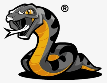 Logo Anaconda, HD Png Download, Transparent PNG