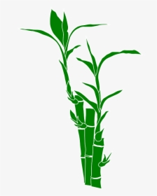 Bamboo, Plant, Nature, Leaves, Wood, Gramineous Plant - Bamboo Clipart, HD Png Download, Transparent PNG
