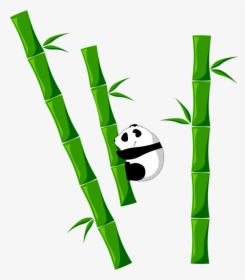 Bamboo, Panda, Animal - Bamboo Png, Transparent Png, Transparent PNG