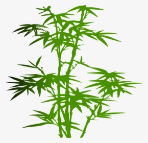 Bamboo, Plant, Green, Leaves, Zen, Japanese, Tropical - Bamboo Transparent Cartoon, HD Png Download, Transparent PNG