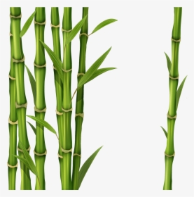 Bamboo Png - Green Bamboo Stick Png, Transparent Png, Transparent PNG