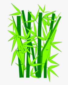 Transparent Bamboo Clipart - Clipart Of Bamboo, HD Png Download, Transparent PNG