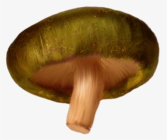 Download Mushroom Png Clipart - Russula Integra, Transparent Png, Transparent PNG