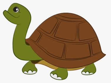 Galápagos Tortoise, HD Png Download, Transparent PNG