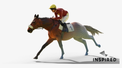 Stallion, HD Png Download, Transparent PNG