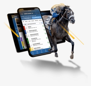 Stallion, HD Png Download, Transparent PNG