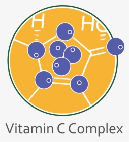 Vitamin C Complex - Circle, HD Png Download, Transparent PNG