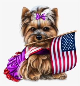 Yorkie 4th Of July 2 - Fourth Of July Yorkie, HD Png Download, Transparent PNG