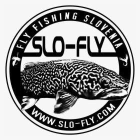 Slofly, HD Png Download, Transparent PNG