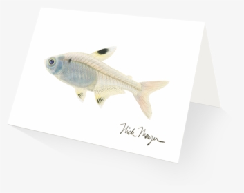 Xray Fish Clipart Picture Royalty Free Stock Picture - Green Bass, HD Png Download, Transparent PNG