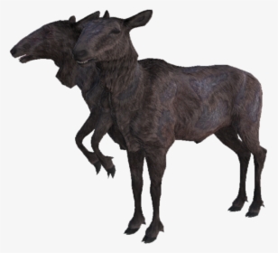 Radstag01 - Radstag Yearling Fallout 4, HD Png Download, Transparent PNG