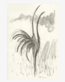 Sketch, HD Png Download, Transparent PNG