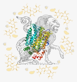 Chimera Overlaid With Predicted Structure Of A Novel, HD Png Download, Transparent PNG