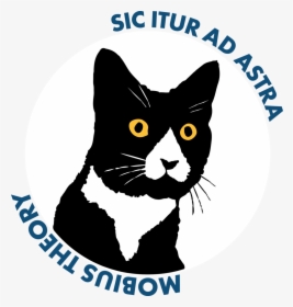 Mobius Theory Daft Cat Logo For Website, HD Png Download, Transparent PNG