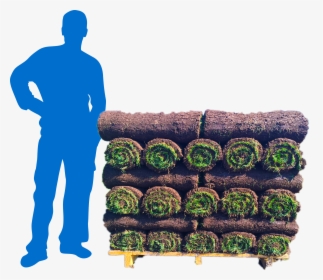 Lowes Sod, HD Png Download, Transparent PNG