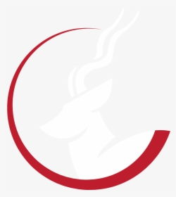 Circle, HD Png Download, Transparent PNG
