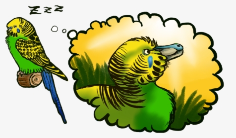 Bandits Never Owned Budgies - Parrot Raptor, HD Png Download, Transparent PNG