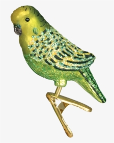 Budgie Christmas Ornament, HD Png Download, Transparent PNG