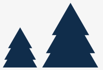 Christmas Tree, HD Png Download, Transparent PNG