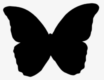Thumb Image - Transparent Background Butterfly Icon, HD Png Download, Transparent PNG