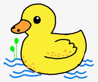 Duck In Water Drawing, HD Png Download, Transparent PNG