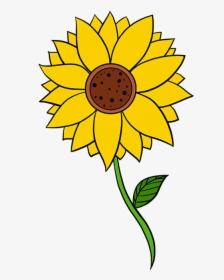 How To Draw Sunflower - Easy Drawing Of A Sunflower, HD Png Download, Transparent PNG