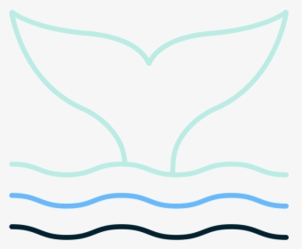 Whaletail, HD Png Download, Transparent PNG