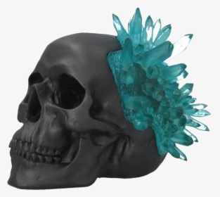 Crystal Skull Black With Blue Crystal - Skull Ornament, HD Png Download, Transparent PNG