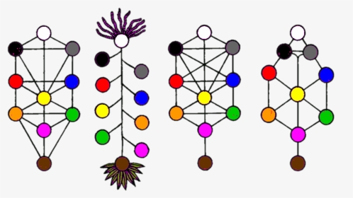 Tree Of Life Variants - Circle, HD Png Download, Transparent PNG