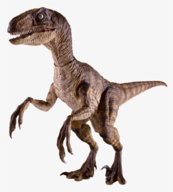 Velociraptor 1/6th Scale Action Figure - Jurassic Park Velociraptor, HD Png Download, Transparent PNG