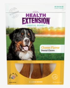 Health Extension Dental Bones, HD Png Download, Transparent PNG