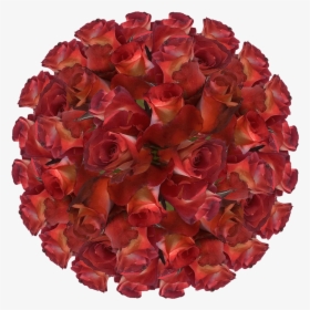 100 Brown Cream Leonidas Roses Best Online Deal On - Cancer Cell Transparent Background, HD Png Download, Transparent PNG