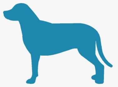 Greater Swiss Mountain Dog Silhouette - Dog Silhouette Color Png, Transparent Png, Transparent PNG