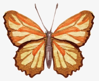 Ai Vector Watercolour Butterfly , Png Download - Watercolor Painting, Transparent Png, Transparent PNG