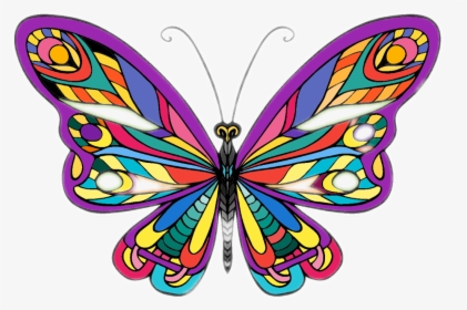 mariposas #colores - Mariposas De Colores Png, Transparent Png ,  Transparent Png Image - PNGitem