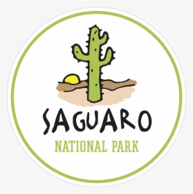 Saguaro   Class Lazyload Lazyload Mirage Featured Image - Funny Pi, HD Png Download, Transparent PNG