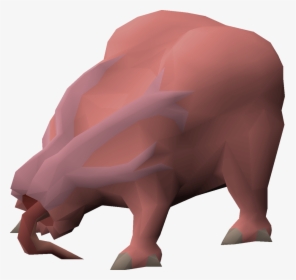 Domestic Pig, HD Png Download, Transparent PNG