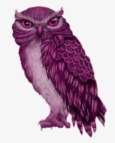 #freetoeddit #pink #owl - Owl, HD Png Download, Transparent PNG