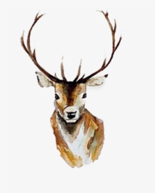 Watercolor Deer Antlers Png - Deer Watercolor Clipart, Transparent Png, Transparent PNG