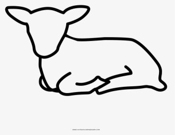 Transparent Lamb Lying Down Clipart - Sheep Lying Down Drawing, HD Png Download, Transparent PNG