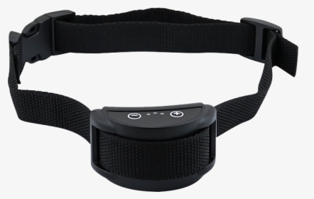 Strap, HD Png Download, Transparent PNG