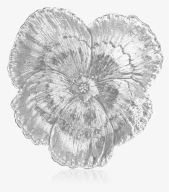 Buccellati - Bowls - Pansy - Bowls - Sketch, HD Png Download, Transparent PNG