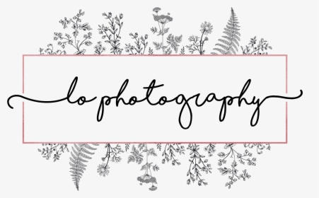 Lo With The Lens - Calligraphy, HD Png Download, Transparent PNG